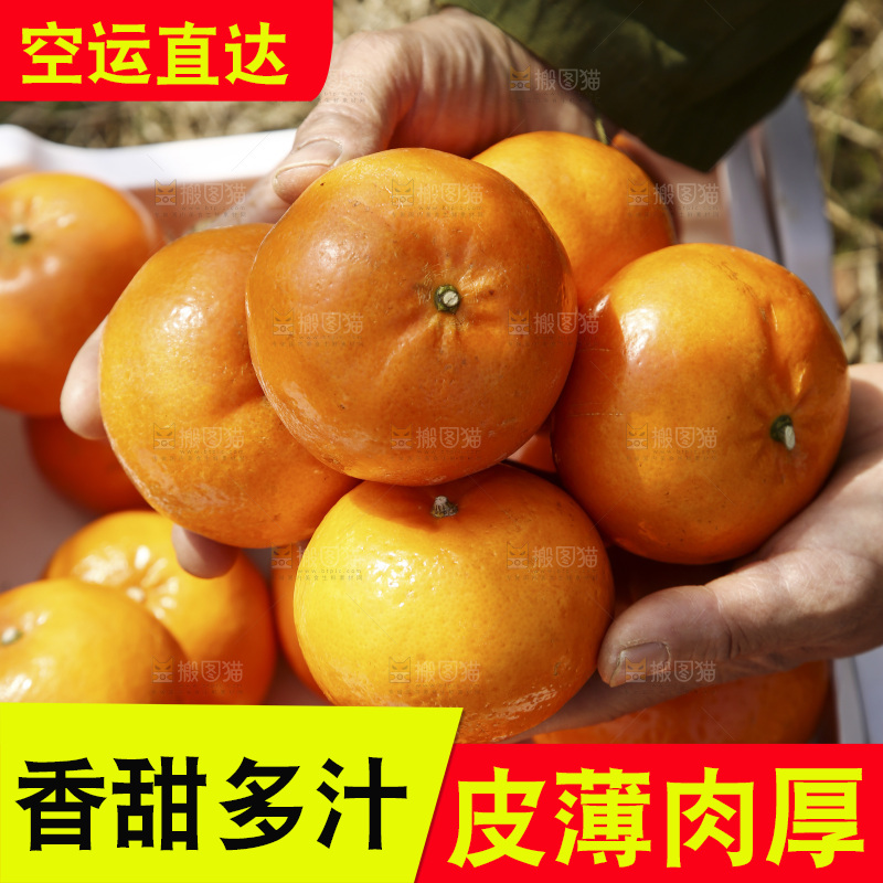 手里捧着沃柑