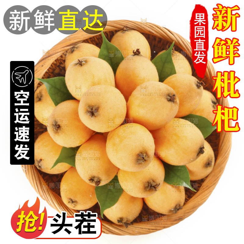 白底上放着一篮米易枇杷