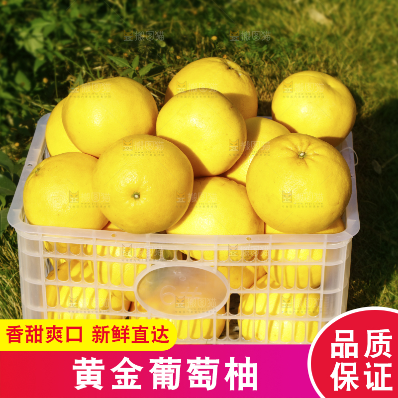 草地上放着一框黄金葡萄柚