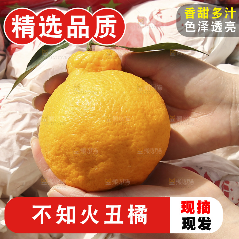 框子里装着丑八怪橘子