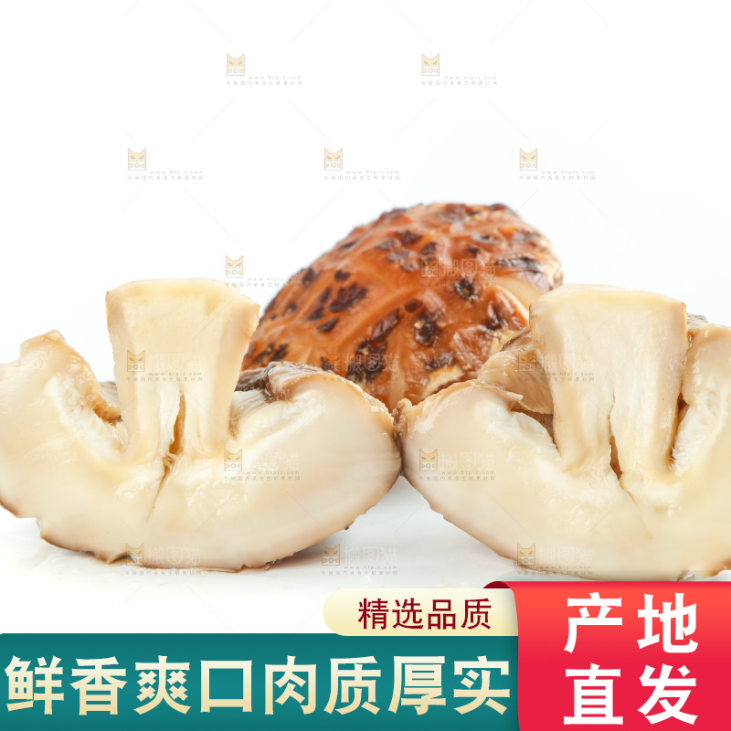 白底上放着花菇