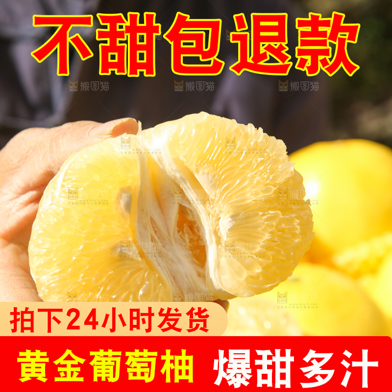 手里拿着黄金葡萄柚果肉