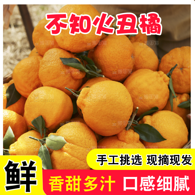 手里端着一篮丑橘