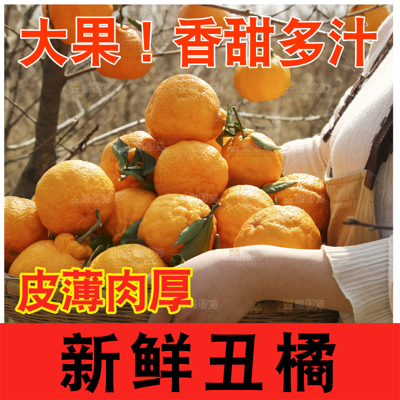 手里端着一篮丑橘