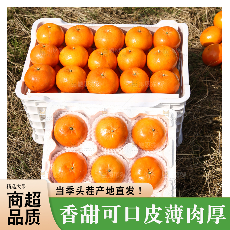 泡沫箱里装着武鸣沃柑