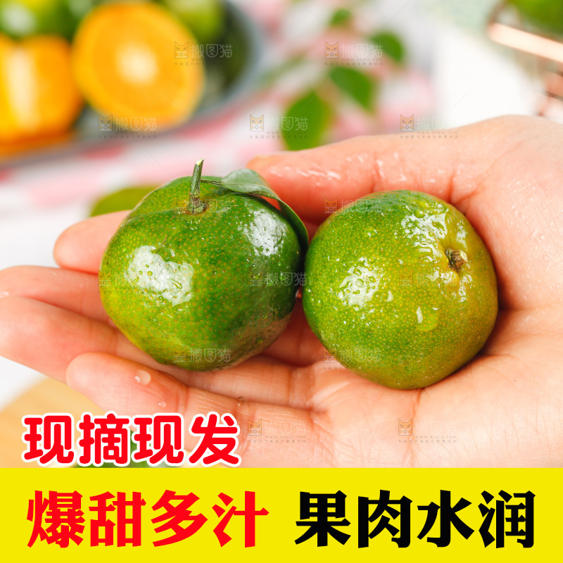 手里拿着清香茶橘