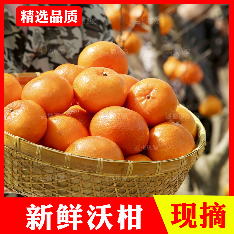 手里端着一篮沃柑