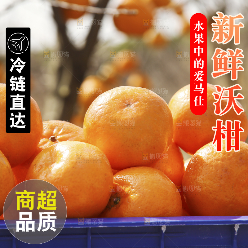 框子里装着广西沃柑