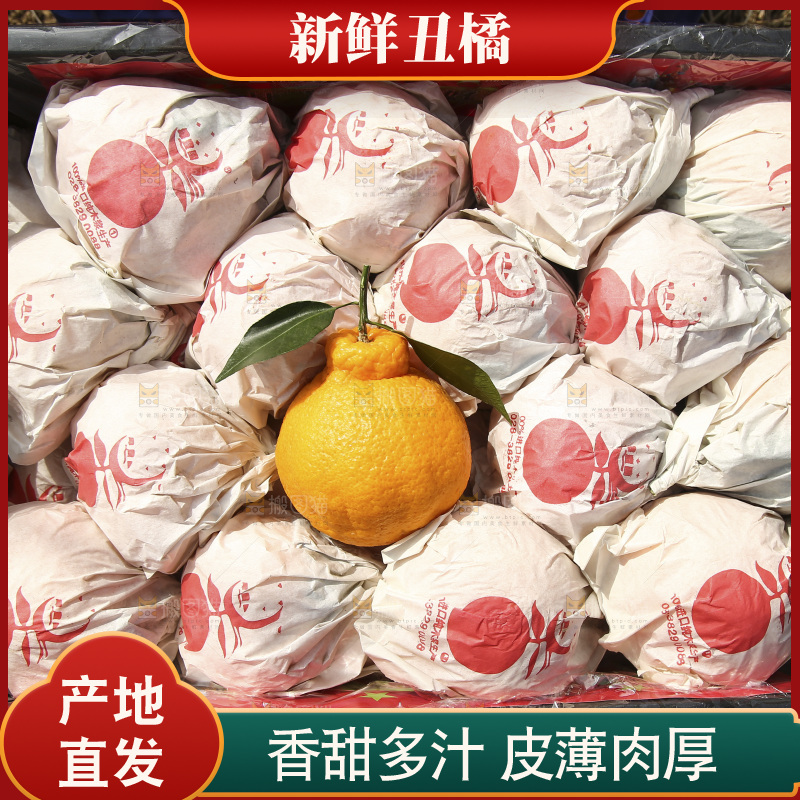 框子里装着丑八怪橘子