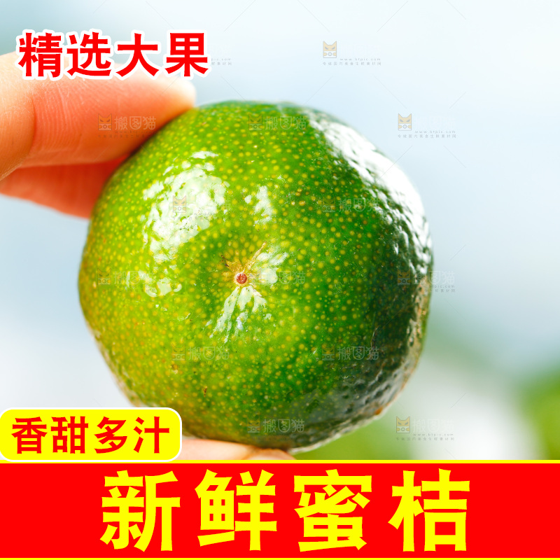 手里拿着清香茶橘