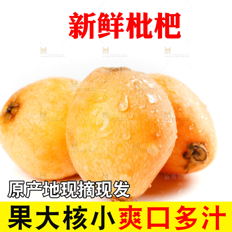 白底上放着米易甜枇杷
