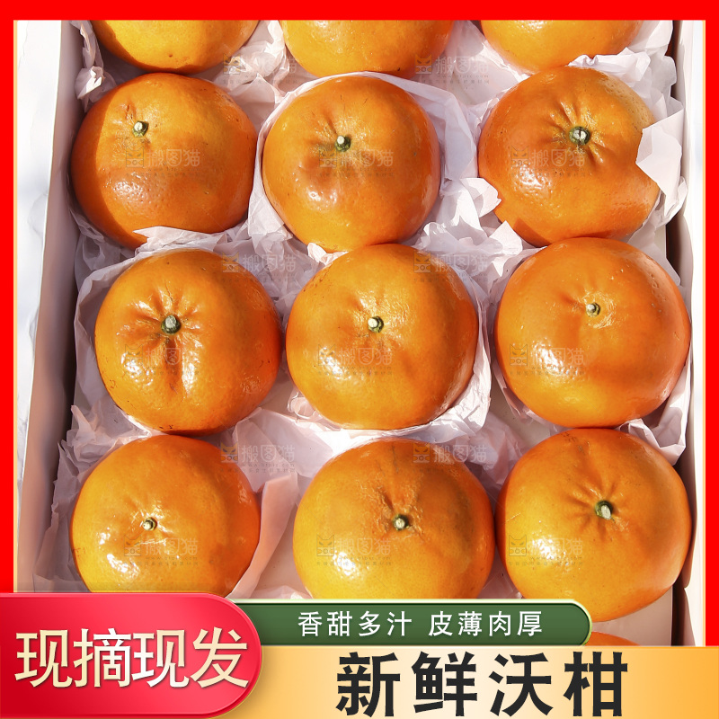 箱子里装着武鸣沃柑