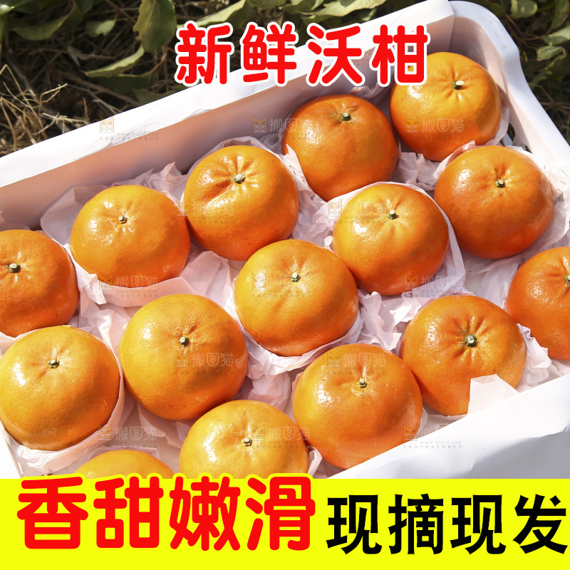 箱子里装着武鸣沃柑