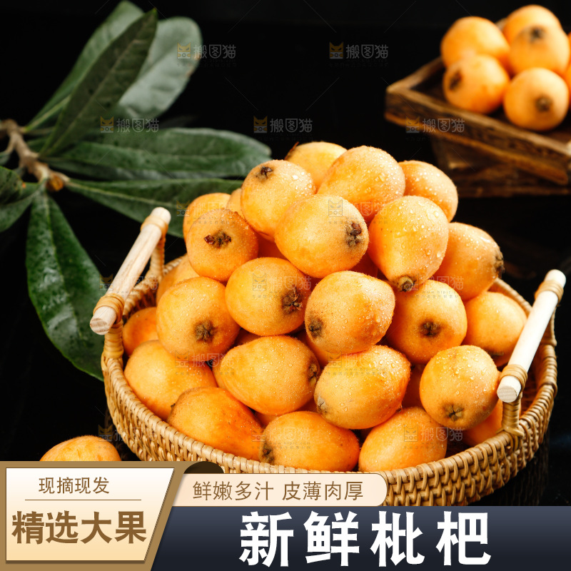 篮子里装着米易枇杷