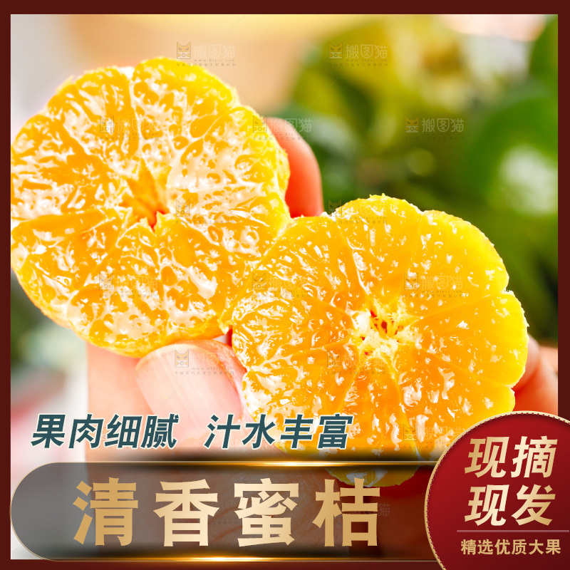 手里拿着清香茶橘