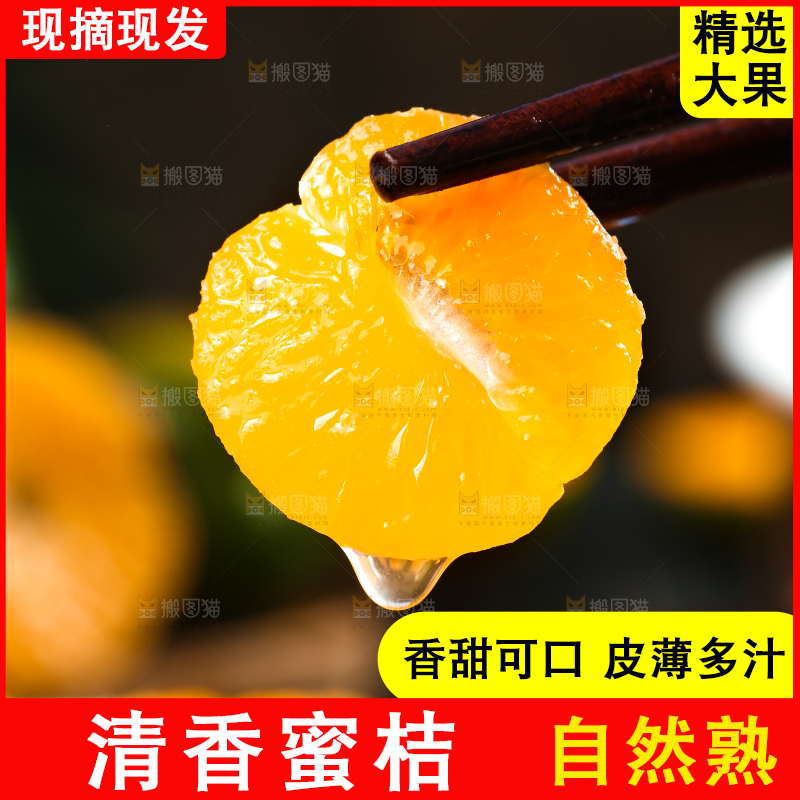 筷子上夹着蜜橘果肉