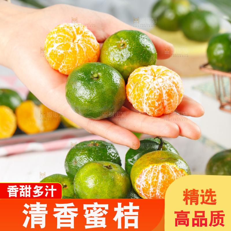 手里拿着清香茶橘