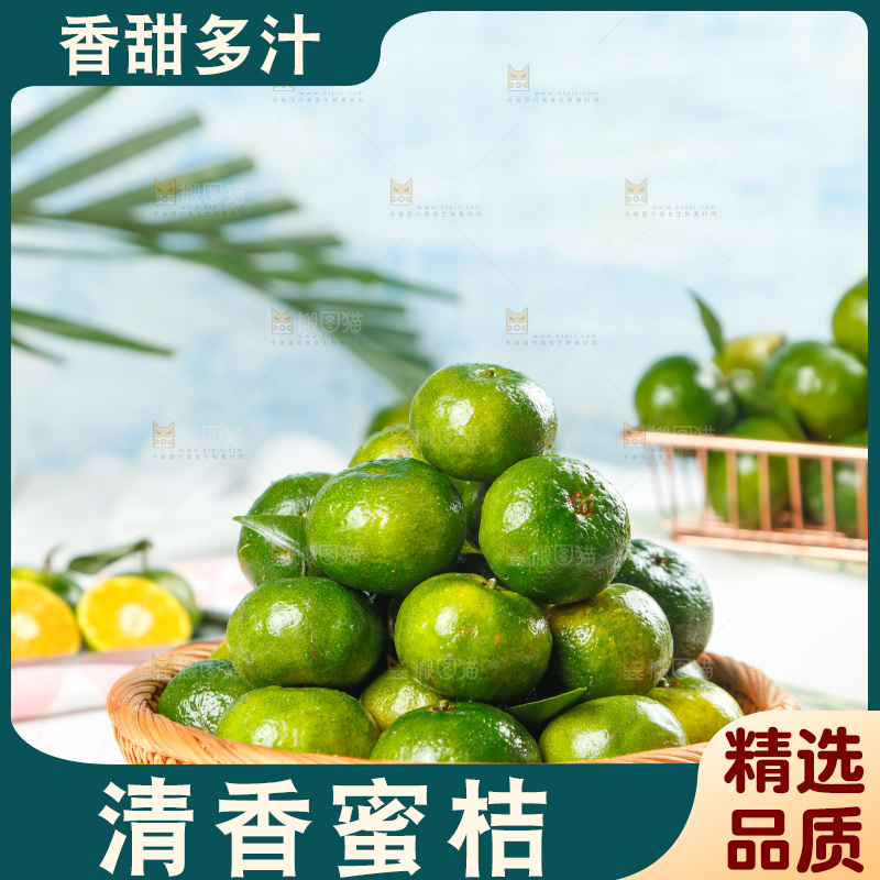 篮子里装着桂林清香蜜橘
