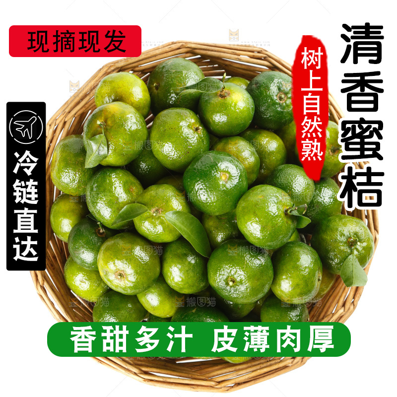 白底上放着一篮清香蜜橘