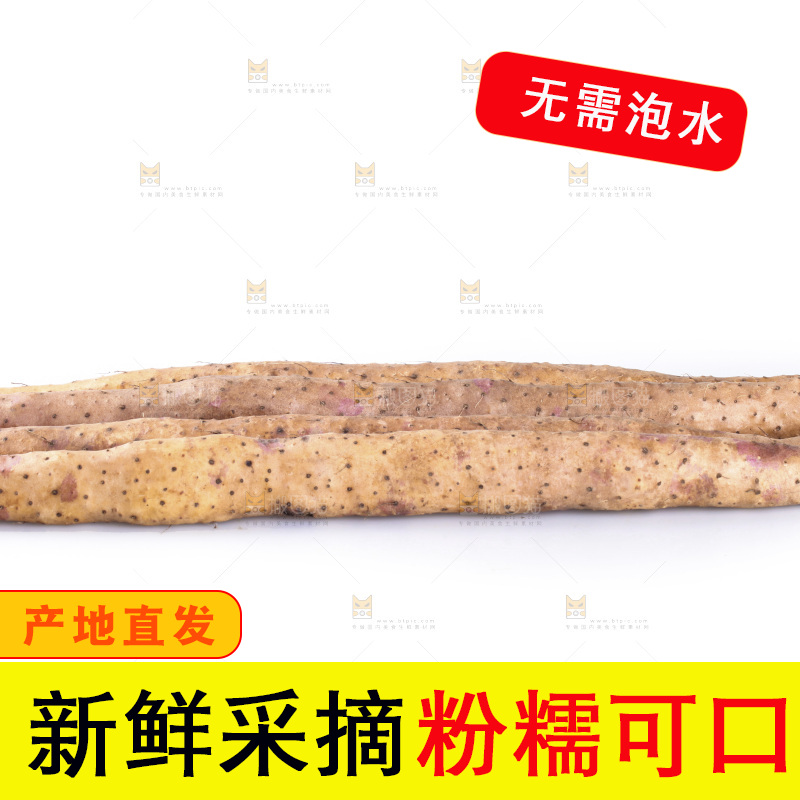 白底上的铁杆山药