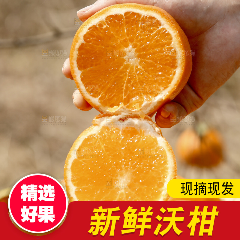 手里拿着切开的沃柑