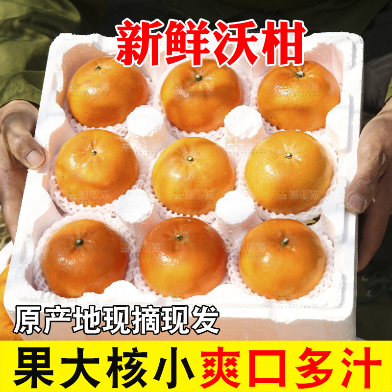 泡沫箱里装着武鸣沃柑