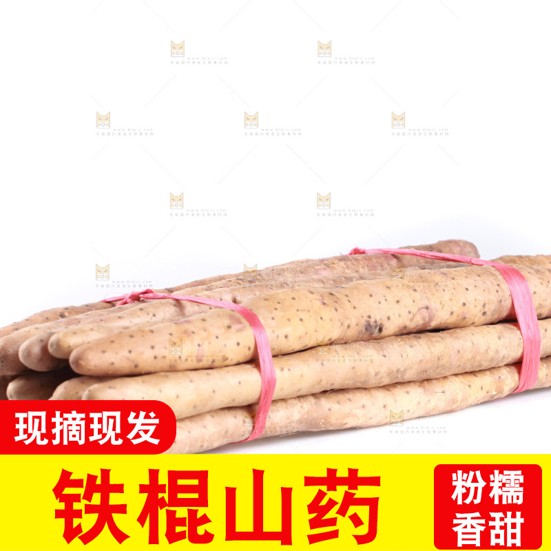 白底上的新鲜铁棍山药