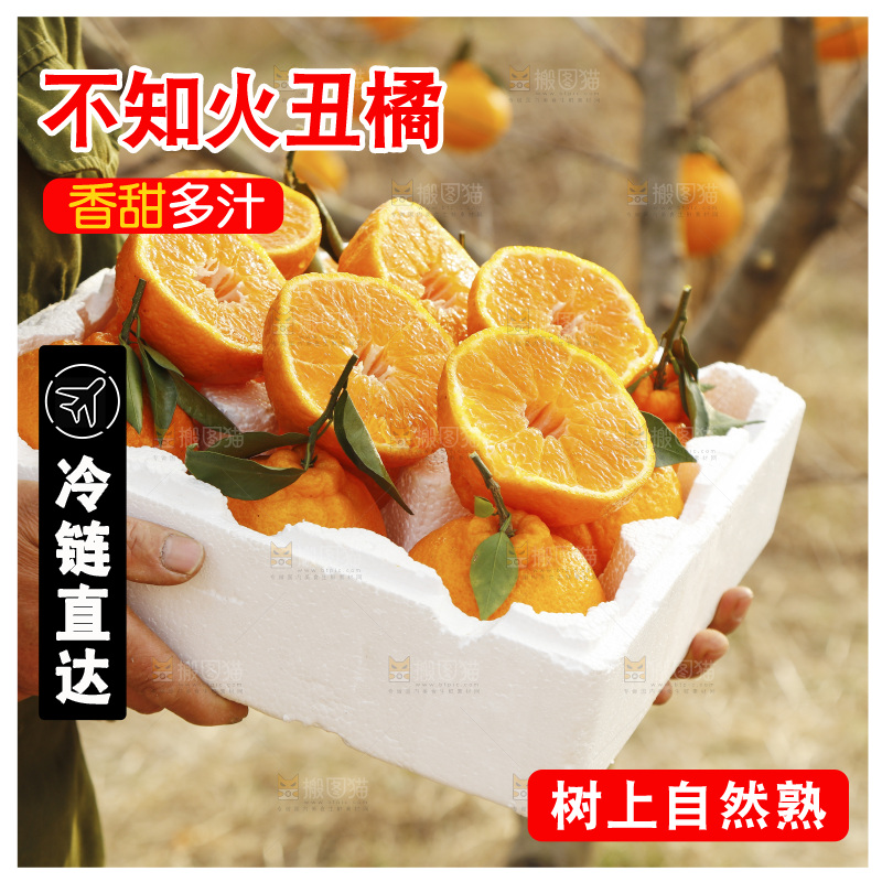 手里端着一箱丑橘