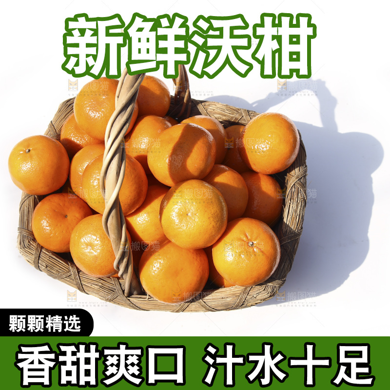 白底上放着一篮新鲜沃柑