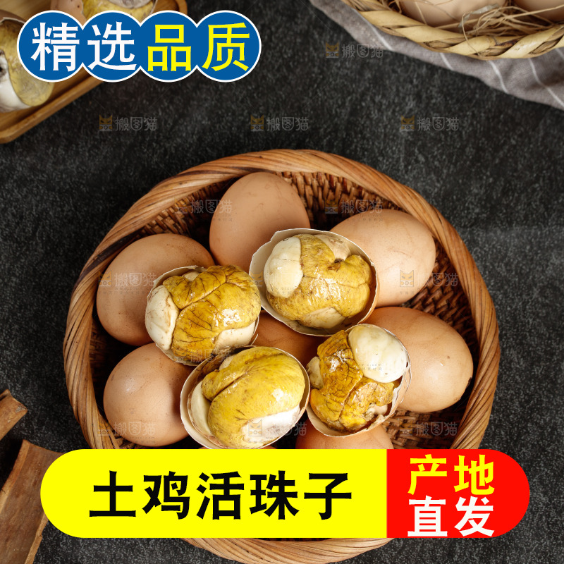 篮子里装着毛蛋