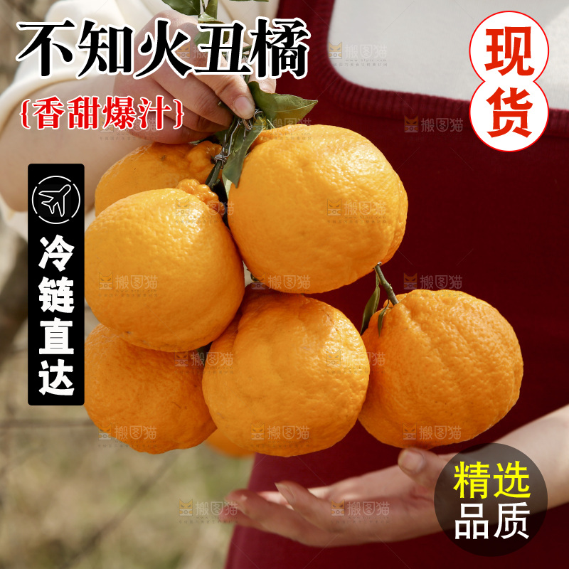 手里抱着丑橘