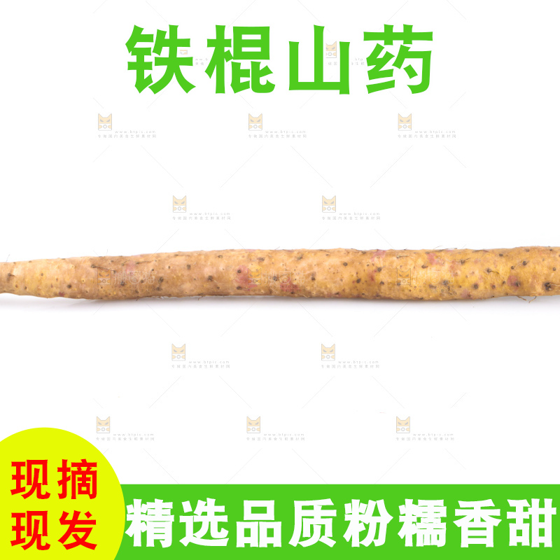 白底上的铁杆山药