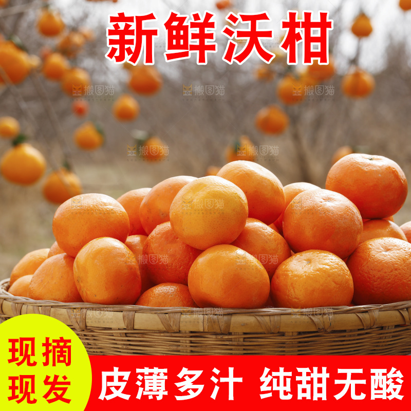 篮子里装着新鲜沃柑
