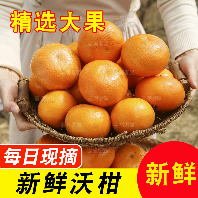 手里端着一篮广西武鸣沃柑