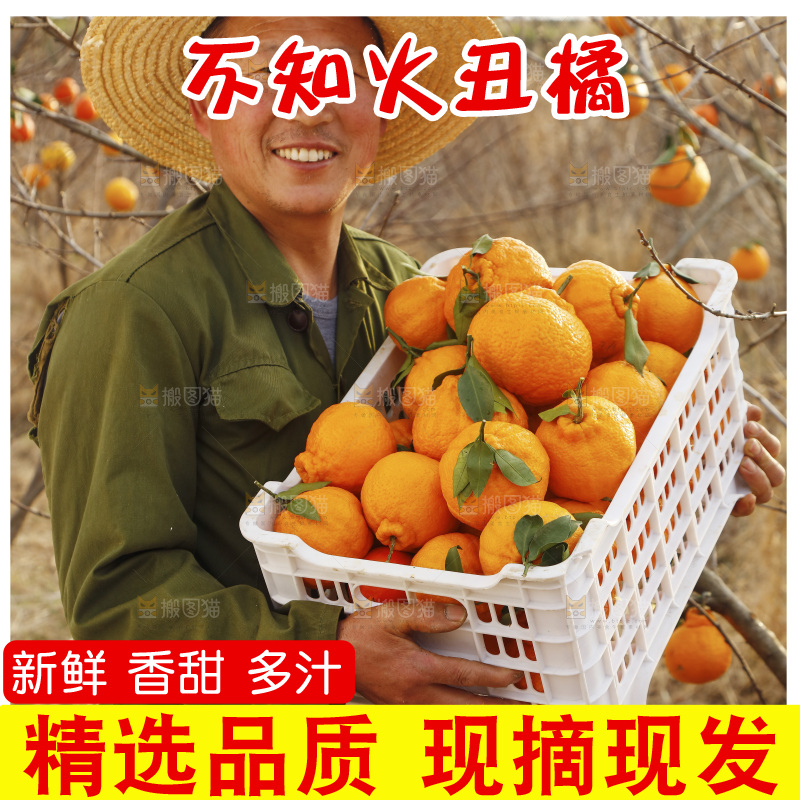 果园农民手里抱着一框四川丑橘