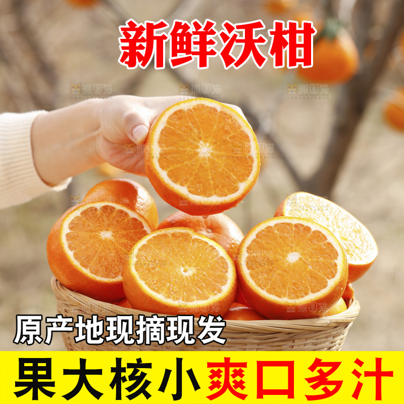 手里端着一篮沃柑切开的