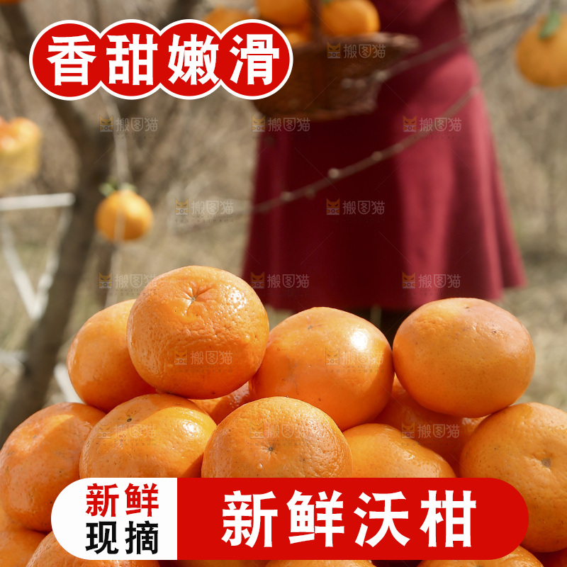 篮子里装着新鲜沃柑