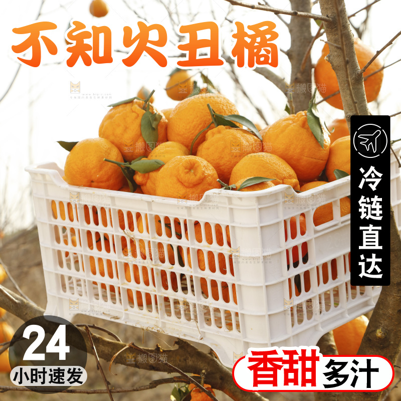 框子里装着丑橘