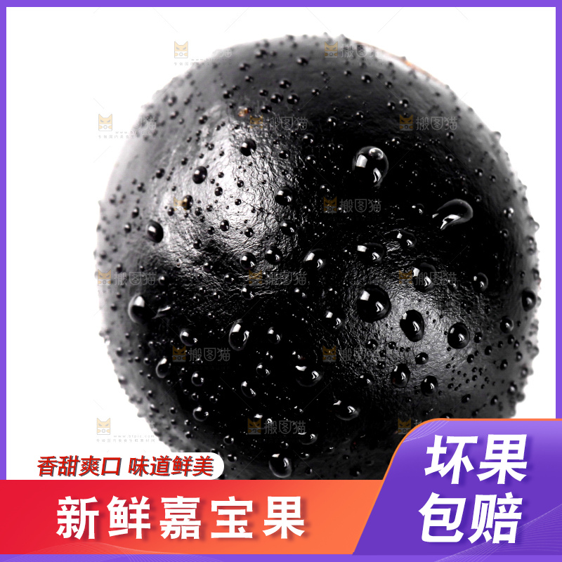 白底上的台湾嘉宝果