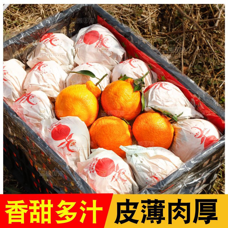 草地上放着一框四川丑橘