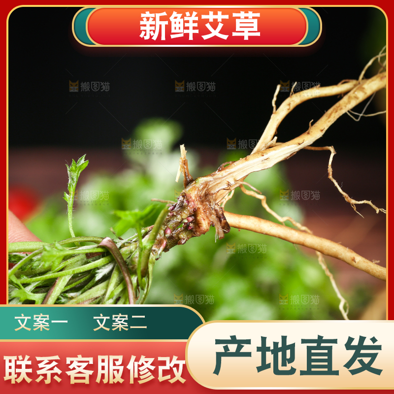 手里拿着艾草叶
