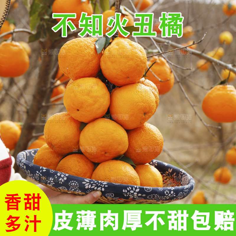手里拿着一串丑橘