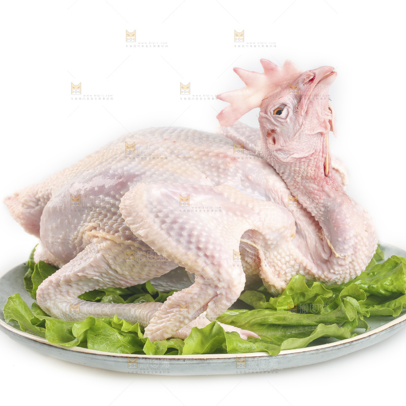 白底上的生鲜鸡肉