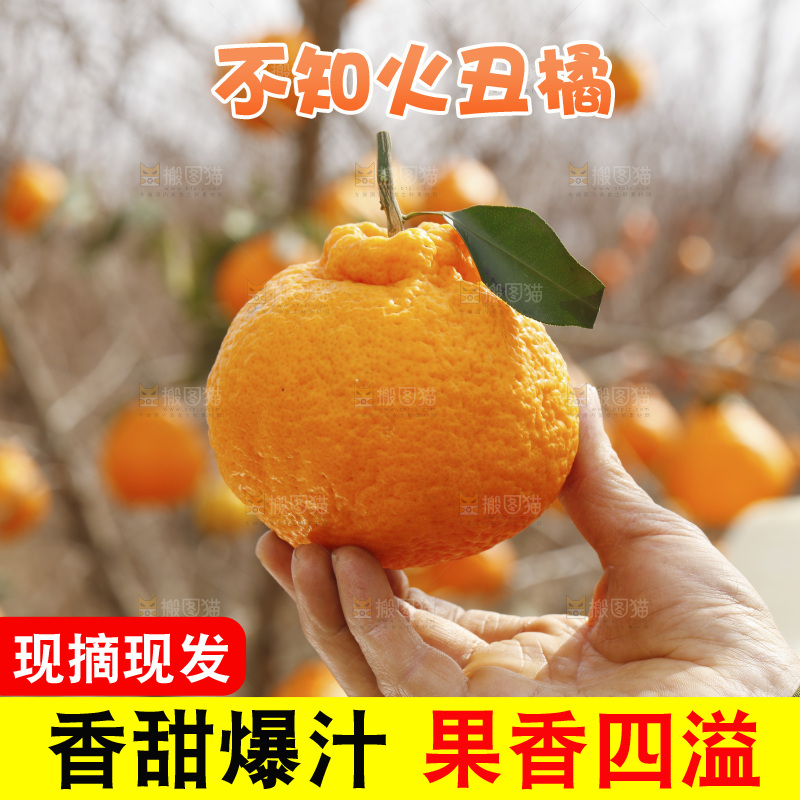 手里拿着丑八怪