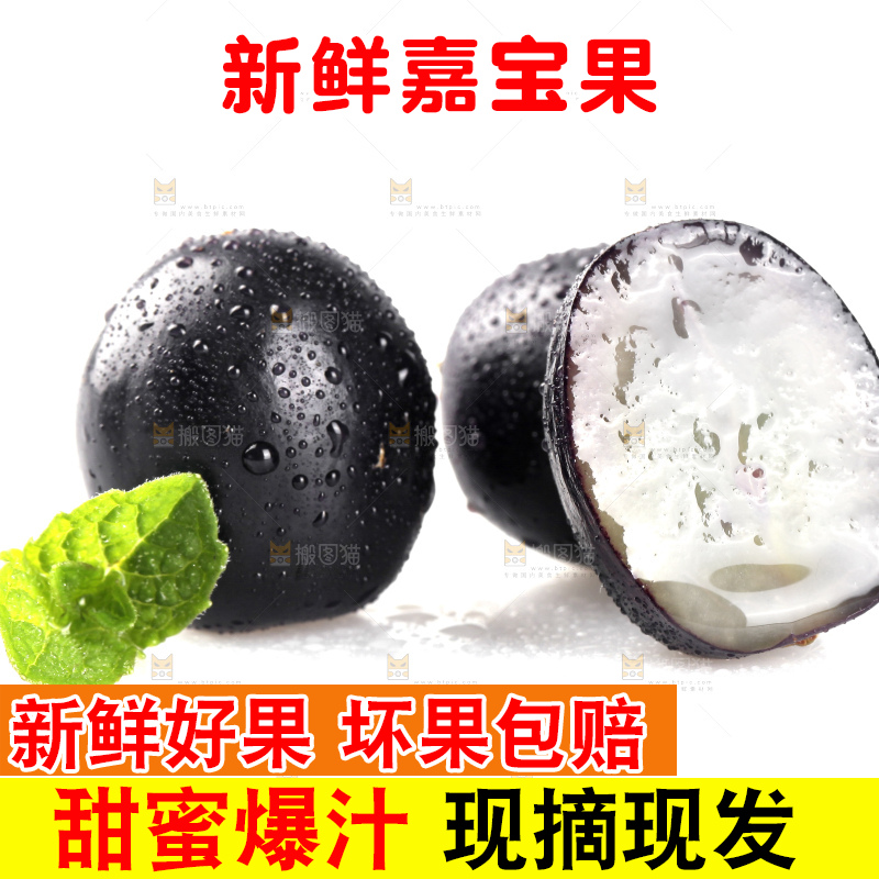 白底上的台湾嘉宝果