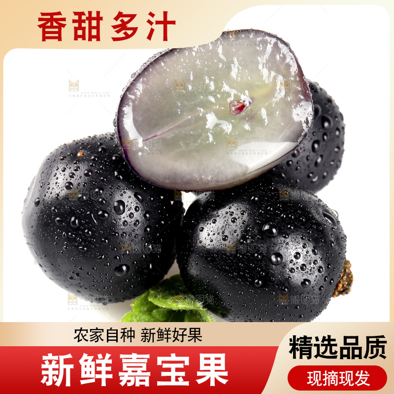 白底上的台湾嘉宝果