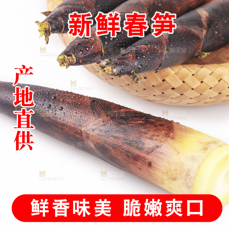 白底上放着春笋