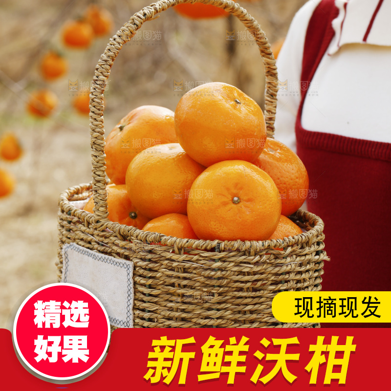 手里端着一篮广西武鸣沃柑
