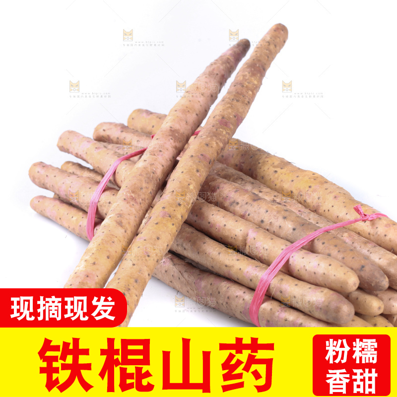 白底上的新鲜铁棍山药