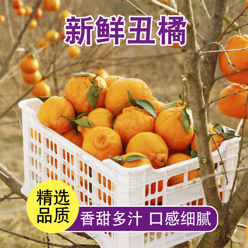 框子里装着丑橘